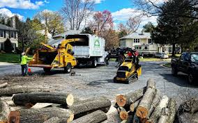 Best Tree Risk Assessment  in Baxter Village, SC