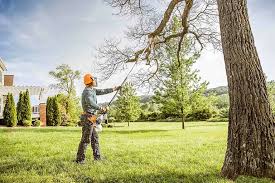 Lawn Renovation and Restoration in Baxter Village, SC
