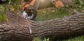 Best Aeration Services  in Baxter Village, SC